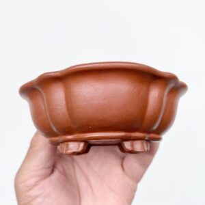 Mini Japanese Bonsai Pot Tokoname